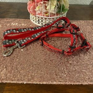 Skull and crossbones, small dog, harness and leash